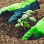 Formazione obbligatoria per manutentore del verde manutentori del verde