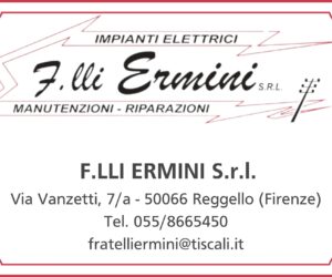 F.LLi Ermini